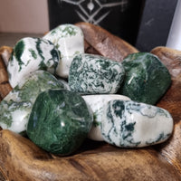 Tree Agate - tumbled stones