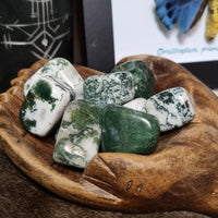 Tree Agate - tumbled stones