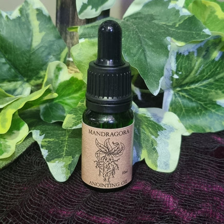 Mandrake Oil