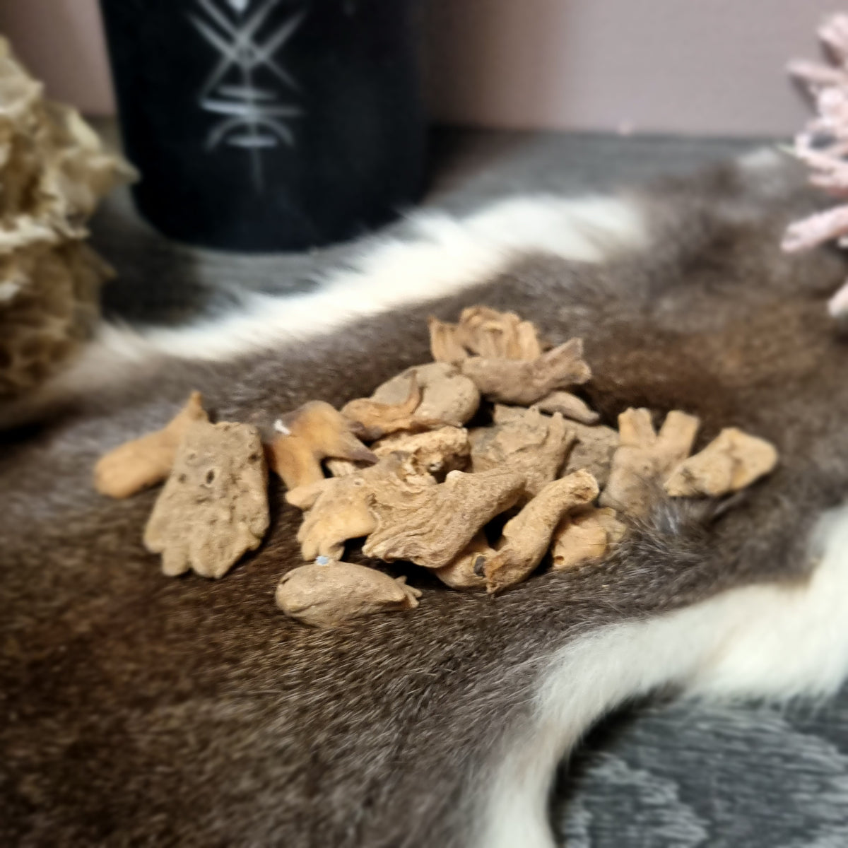 Lucky Hand Root (each)| Lylliths' Emporium