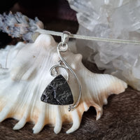 Raw Shungite Pendant #01