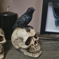Raven on Skull - Small