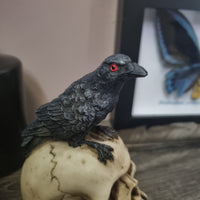 Raven on Skull - Small