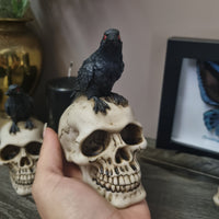 Raven on Skull - Small