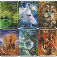 Animal Whispers Empowerment Cards