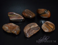 Petrified Wood - tumbled stones