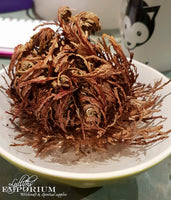 Rose of Jericho