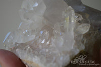 Arkansas Quartz Cluster #1