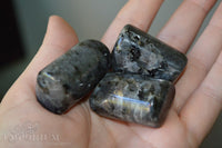Black Moonstone - Tumbled Stones