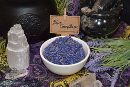 Blue Cornflower