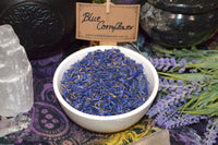 Blue Cornflower