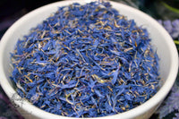 Blue Cornflower