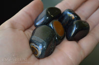 Tiger Eye - Blue (and Hawks Eye)