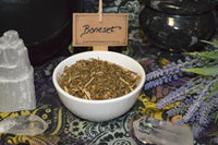 Boneset - dried organic herbs