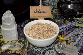 calamus root - dried herbs