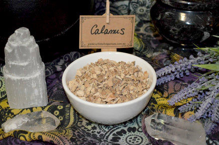 calamus root - dried herbs