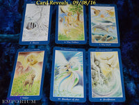 Shapeshifter Tarot