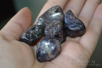 Charoite - tumbled stones