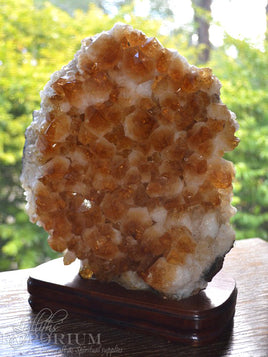 Citrine Cluster on Base
