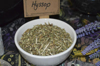 hyssop - dried herbs