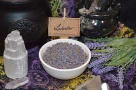 Lavender