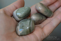 Polychrome Jasper - Tumbled Stones