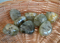 Prehnite - Tumbled Stones
