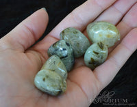 Prehnite - Tumbled Stones