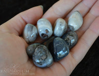 Sardonyx - Tumbled Stones