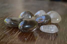 Smokey Quartz - Tumble stones