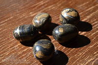 Stromatolite - Tumbled Stones