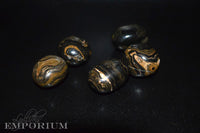 Stromatolite - Tumbled Stones