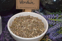 Vervain