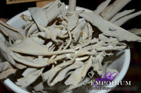 White Sage - loose