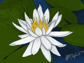 White Lily Flowers